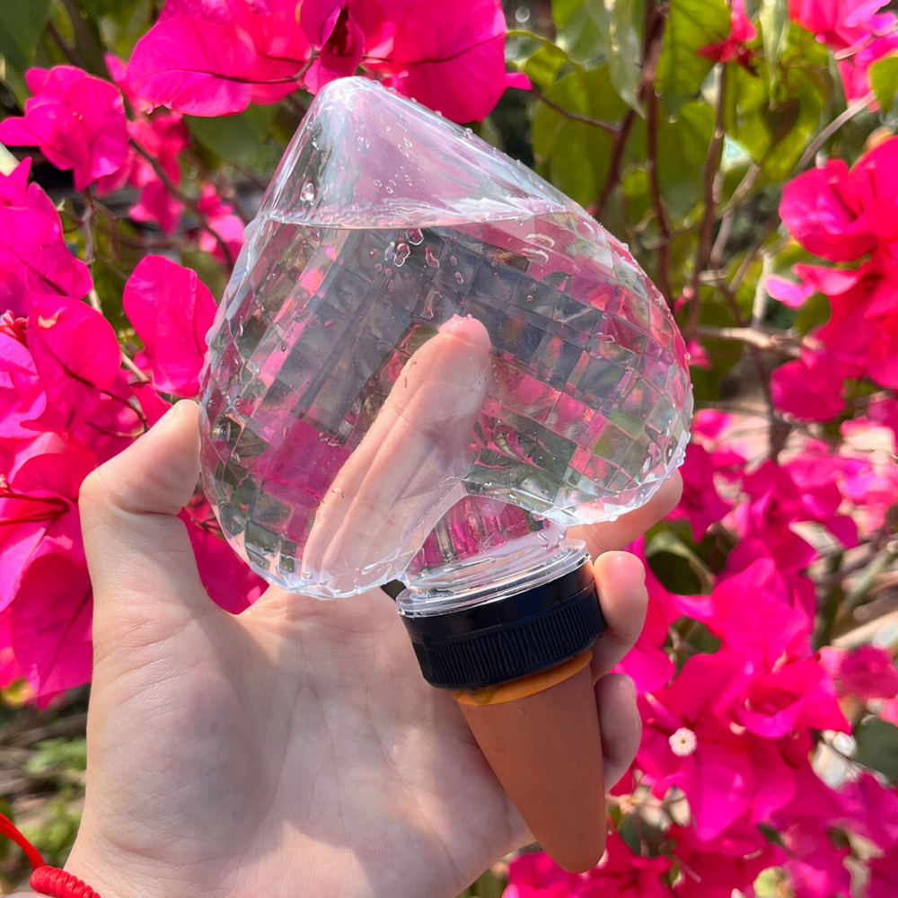 Heart Shaped Automatic Waterin - Automatic Plant Waterer ulasan dan harga