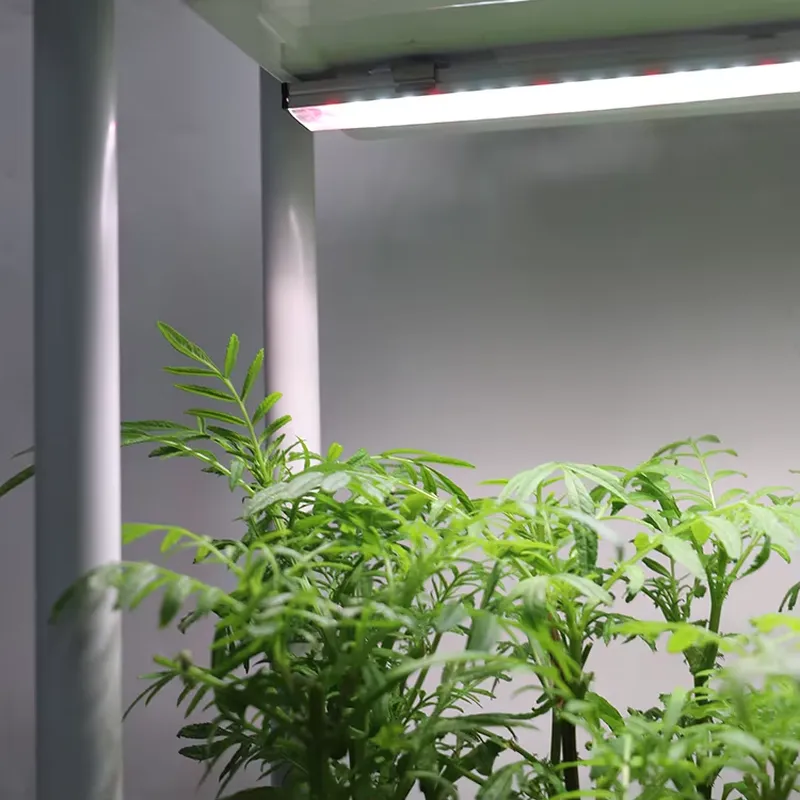 Movable Vertical Grow 3 Level  - Self-Watering Planter ulasan dan harga
