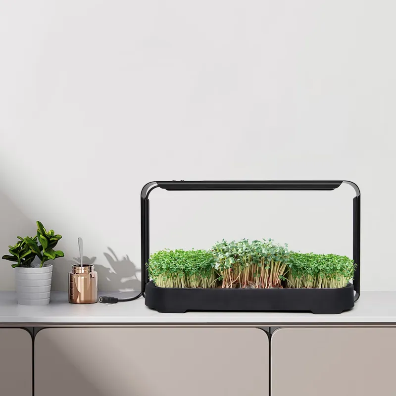 Microgreens Self Watering Hydr - Self-Watering Planter ulasan dan harga