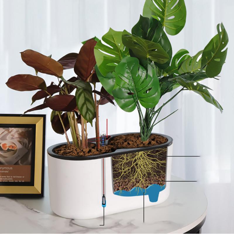 Indoor Plant With Indicator Wo - Automatic Plant Waterer ulasan dan harga